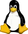 Skill image Linux